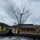 못골한옥어린이도서관 | [가족 외출] 서울 아이와 갈만한 곳 강남 자곡 못골 한옥 어린이도서관