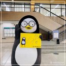 [인스타] 이화여대 도서관에 온 펭수 이미지
