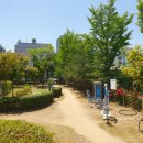 개운어린이공원 이미지