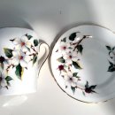 도그 블라썸 이미지