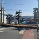 증도면보건지소 Daum카페