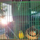 참살이토속청국장 이미지