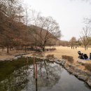 구갈레스피아 게이트볼장 이미지