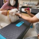 개st하우스 이미지