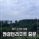 켄싱턴 제주호텔 | 제주 서귀포 오션뷰 호텔 켄싱턴리조트 제주중문점 프리미어룸 조식뷔페 수영장 내돈내산 후기