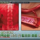 음경 사칭범들 김남진 김진곤 같은스토커 bci놈들 카카오톡 and sns딴지가네요 수사대 문의 해봅니다 ㅋ 이미지