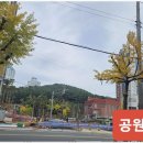 대원신도시공인중개사사무소 네이버블로그