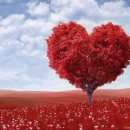 대형타이어 이미지