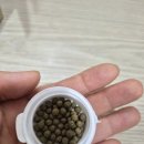 매일백세한의원 감비환 가격과 부작용까지 솔직 후기