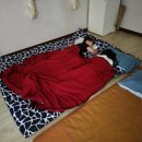 노승현경희한의원 이미지