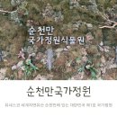 순천만 우리 | 순천여행 필수코스 가을여행 순천만국가정원 비오는날 방문후기