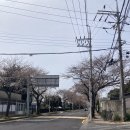 호근서호로 이미지