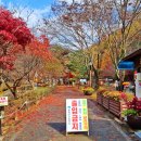 봉학골산림욕장 이미지