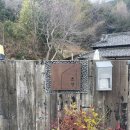 (사)부산평화시장 | 26.03.09. 월. 데식 성진 픽 부산 맛집 투어🤤오륙도 수선화 개화시기🌼