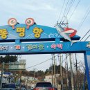 영금정회집