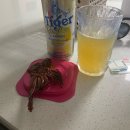 [상품리뷰] 찾다보니여기, 매콤 숏다리 가격, 구매 및 보관방법, 후기/ 건어물 러버라면 꼭 사세요!