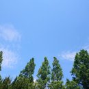 화봉제1공원 이미지