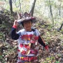 소양초병설유치원 이미지