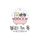 뷰티 in 독 이미지