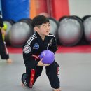 유강 초등학교 이미지