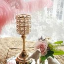 오리엔탈 이미지