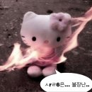 감자많이먹어라
