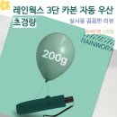 레인웍스 3단 카본 자동 우산 200g 초경량 방풍 여름 장비 후기