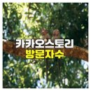 <b>카카오스토리</b> 방문자수 완전분석 전략 가이드