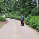 1211 | 오지산행후기(1211차) 강화 석모도 산행 2024.06.15(토)