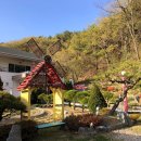 남연허브 이미지