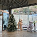 수정5동 | 부산역 근처 동구 좌천동 주차가능 대형 카페 아브니르