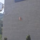 카페도로시 이미지