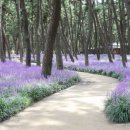 꽃보다의료기 이미지