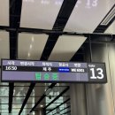 6501 | 파라다항공 제주 WE6501 김포출발 탑승 후기