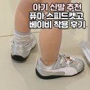 봄이락 | 아기 봄 여름 신발 추천 퓨마 스피드캣고 베이비 실버 사이즈 비교 팁 실착 후기