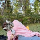 용원셀프세차장 이미지