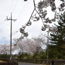 신풍리-3 이미지