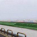 탑동 테마거리 이미지