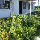 성산풀하우스 이미지