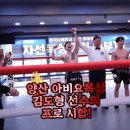 아비요복싱(ABYO BOXING) | 양산 아비요 복싱 김도형 선수의 프로 시합!