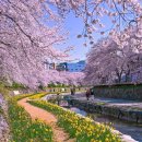 한국국토정보공사 부산울산지역본부 이미지