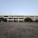 홀릭 | 부산 요트투어 당일 예약, 트리 요트로 낭만있는 와이홀릭 후기(폭죽, 겨울요트 추천)