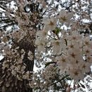 제주의 사색 이미지