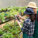 세안농장 이미지