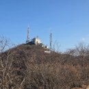 편백숲,쉼 이미지