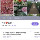 하경농장 이미지