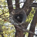 무양서원 이미지