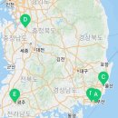 고양이분양제나캣사상점 이미지