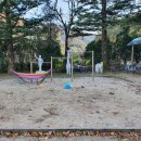 상평초등학교현서분교장 | 모래소독 전문업체 키제코 모래소독 39443번째 강원도 상평초등학교현서분교장