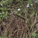 웰빙팥이랑들깨랑 이미지